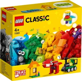 11001 Bricks And Ideas