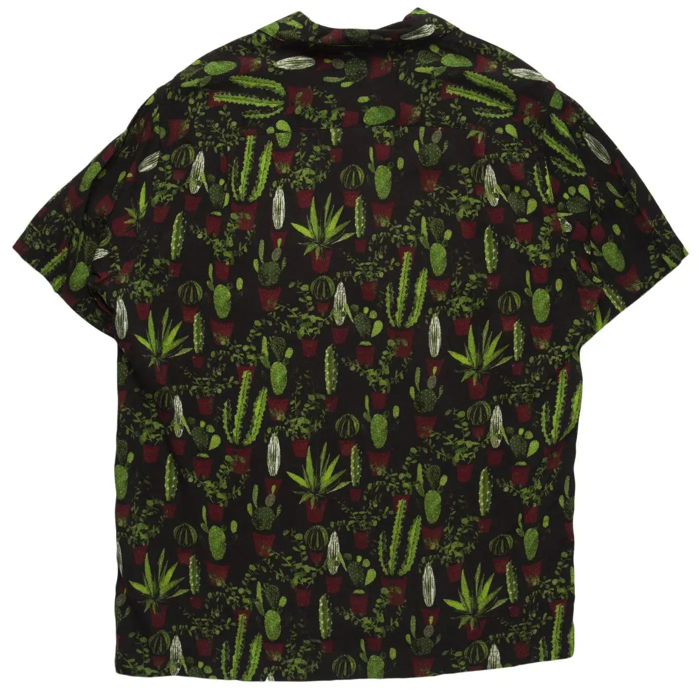 Cactus Plant Spread Collar - Green