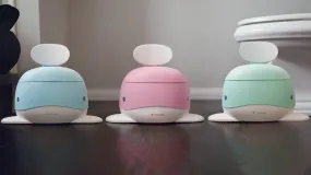 Potty Training Chair for Boys and Girls