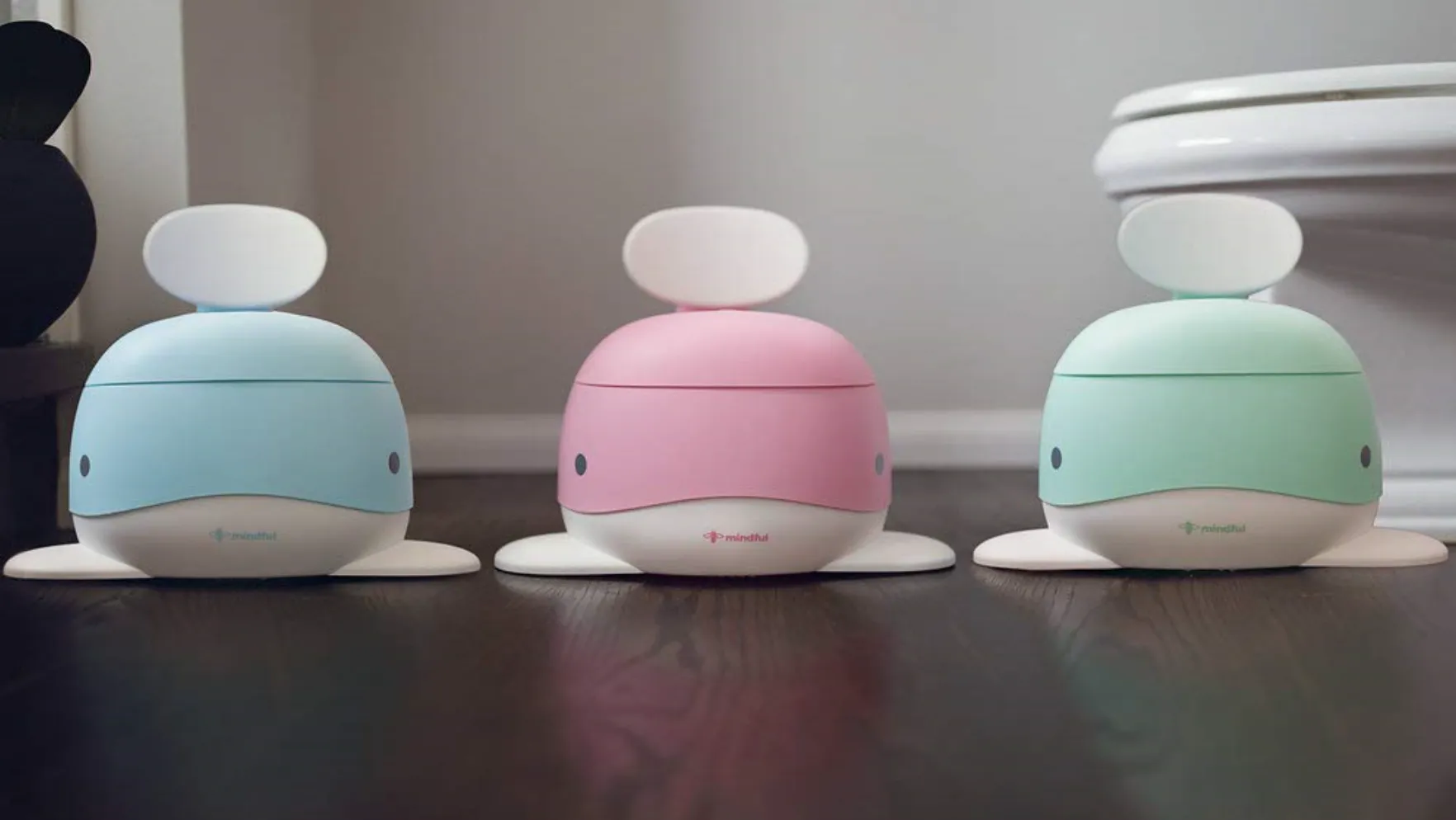 Potty Training Chair for Boys and Girls